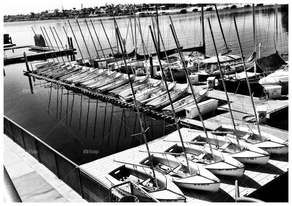 Harbor boats 