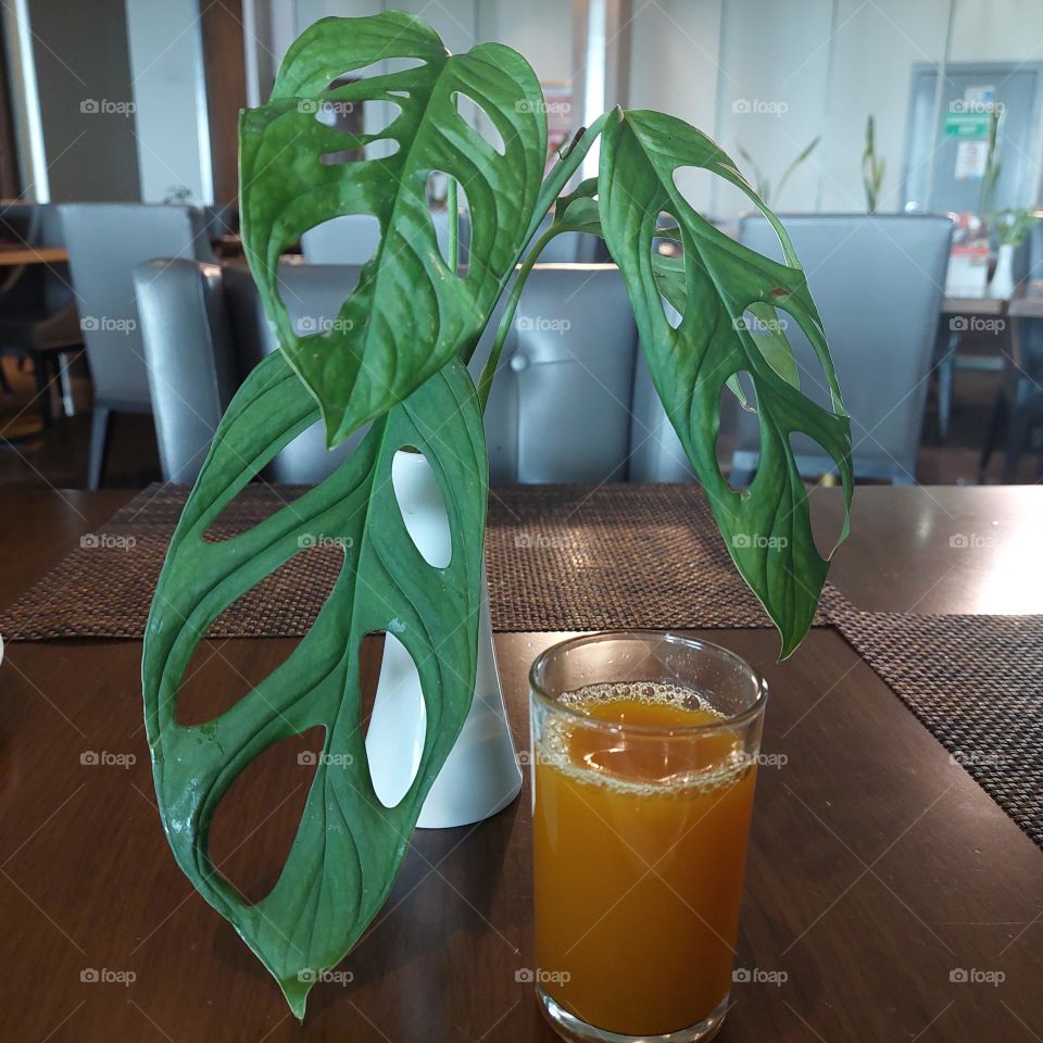 ornamental plants and a glass of herbs on the dining table