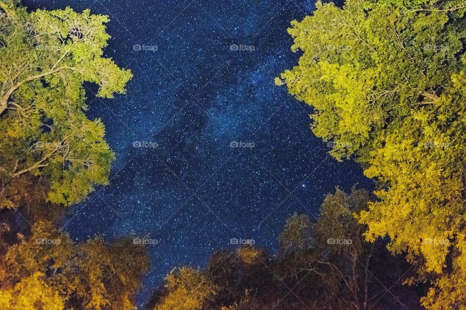 Milky Way in North Florida. My first attempt at photographing the Milky Way at Ichetucknee Spings Campgrounds in North Florida