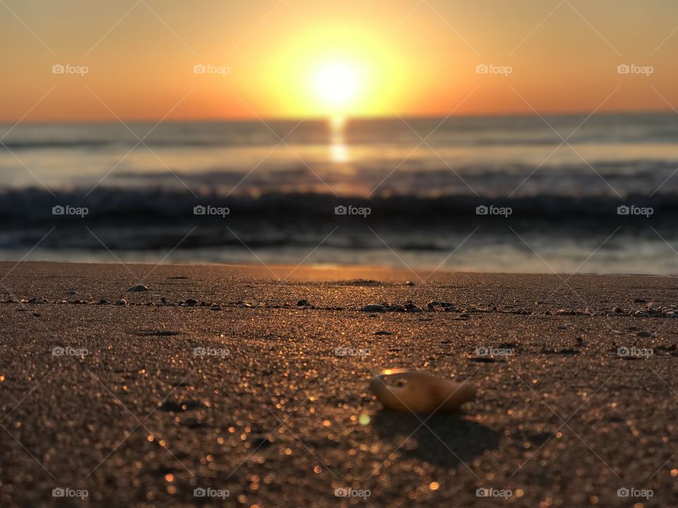 The Sun, The Shell, The Sea, The Shore. What a beautiful sunrise in Deerfield Beach, Florida. 