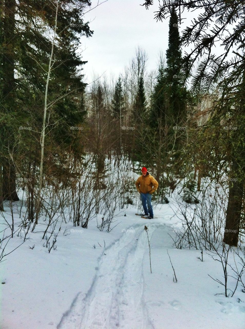 Snowshoeing 
