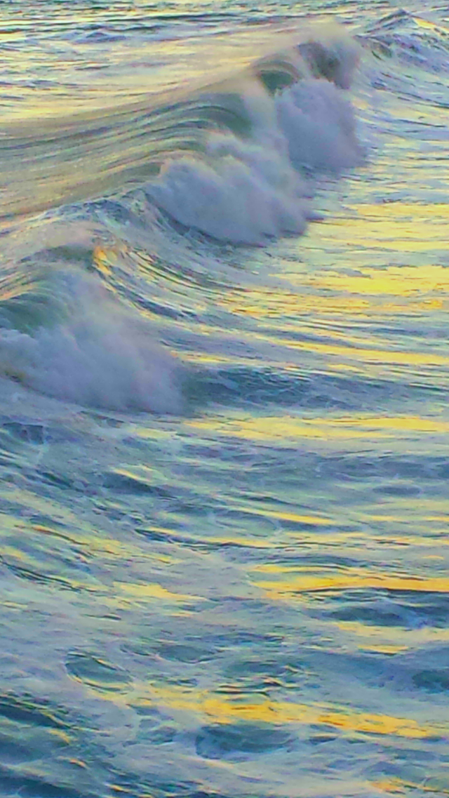 "Laguna Beach"