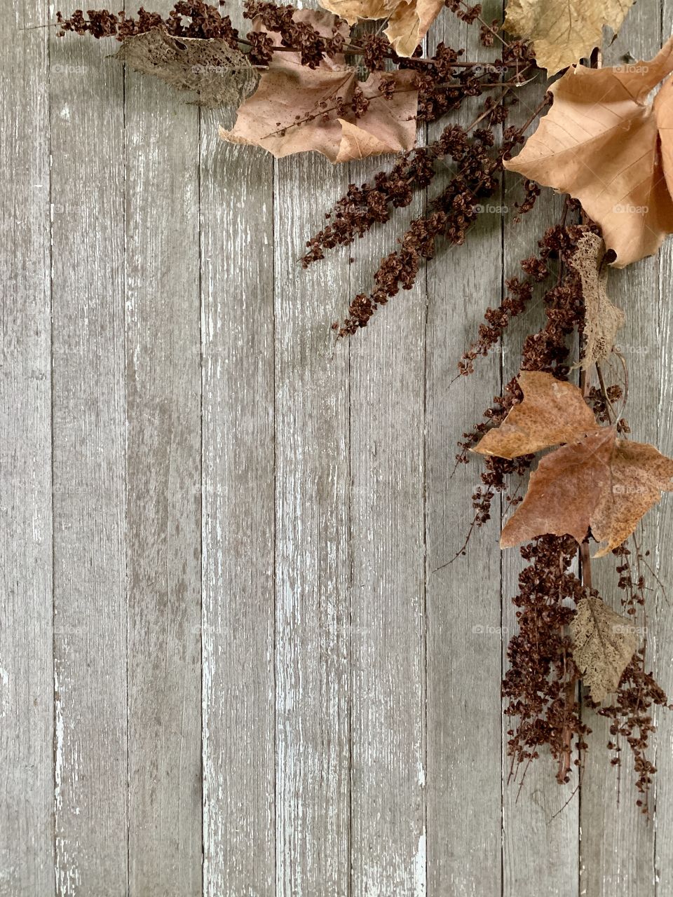 Dried plant and withered leaves in autumn colors on wood with copy space, portrait