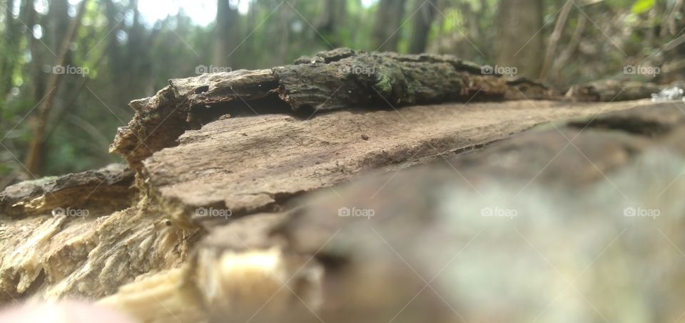 its rotten however its has is own moment and memory