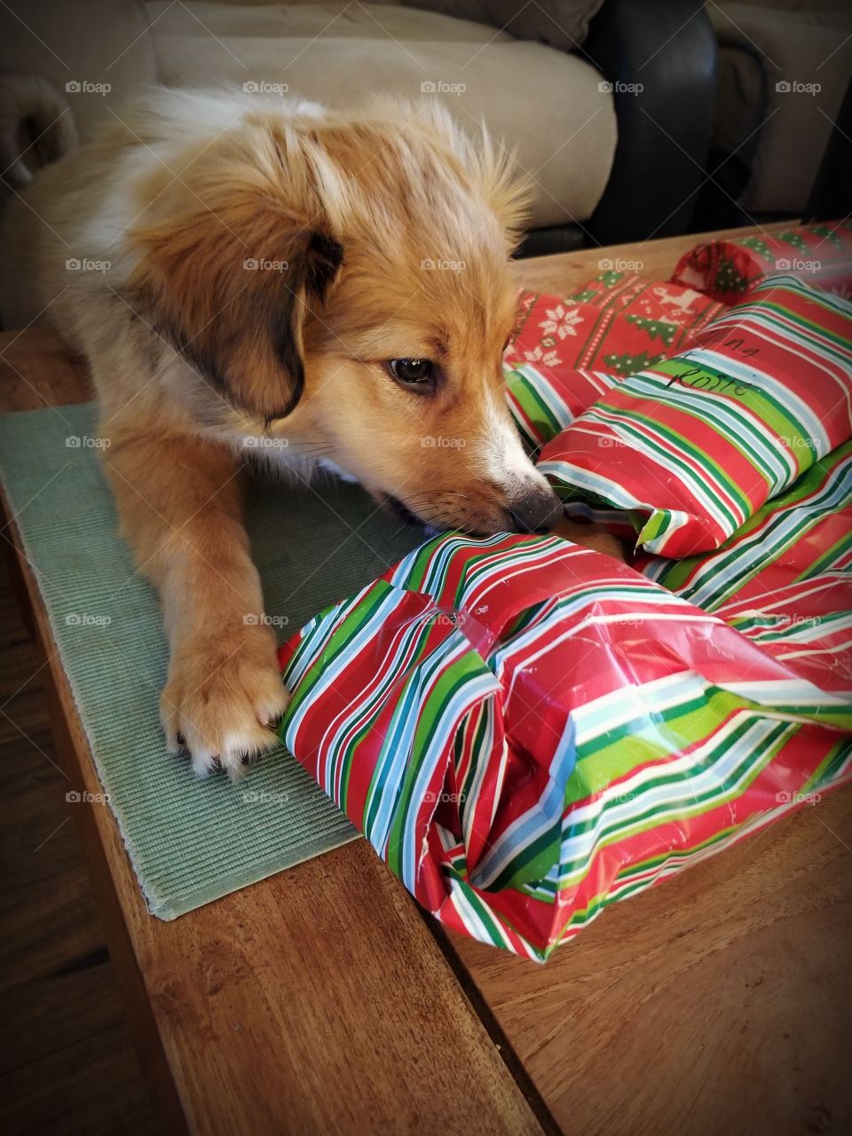 Rosie picking out her present