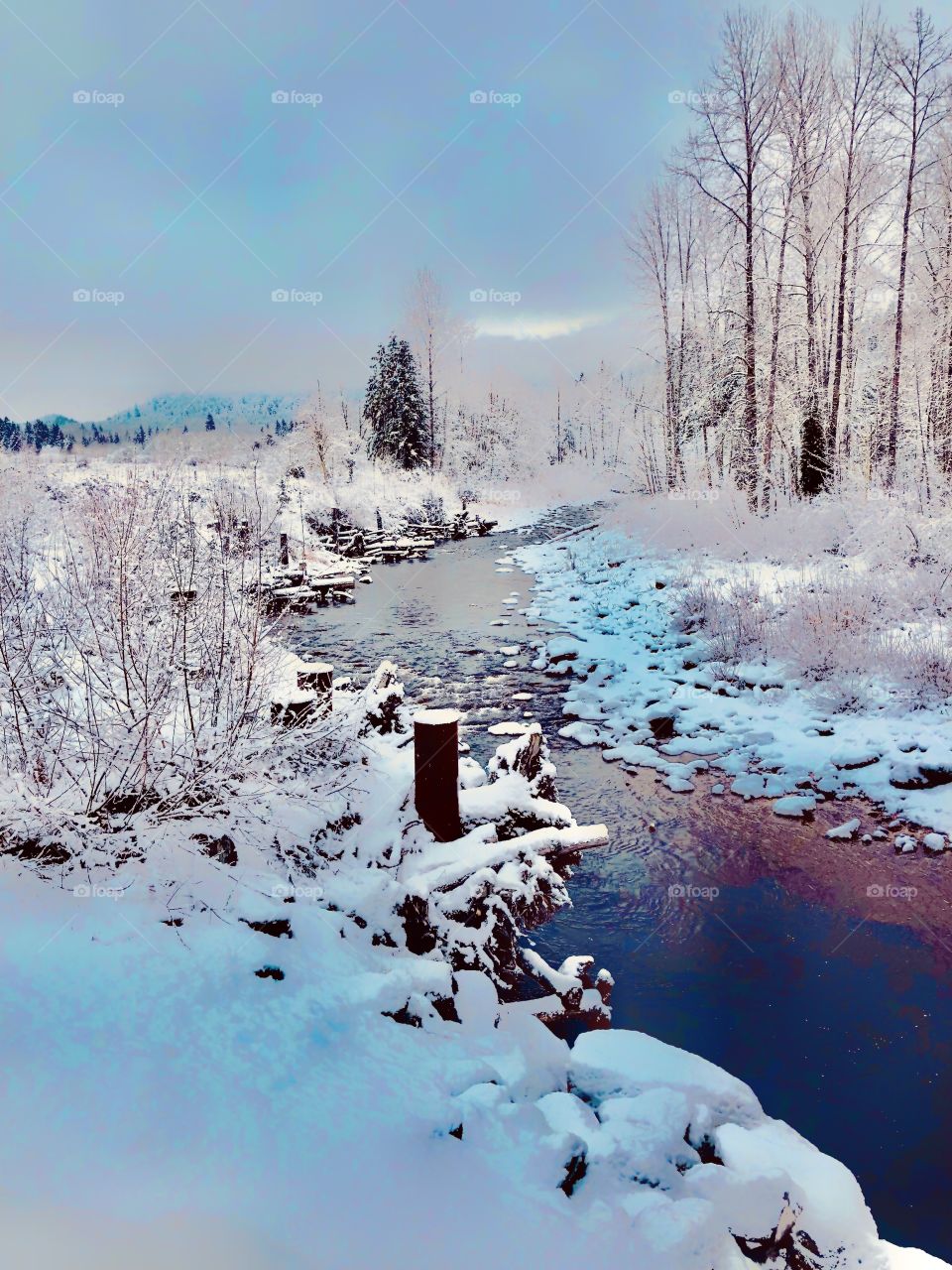 Everything’s magical when it snows