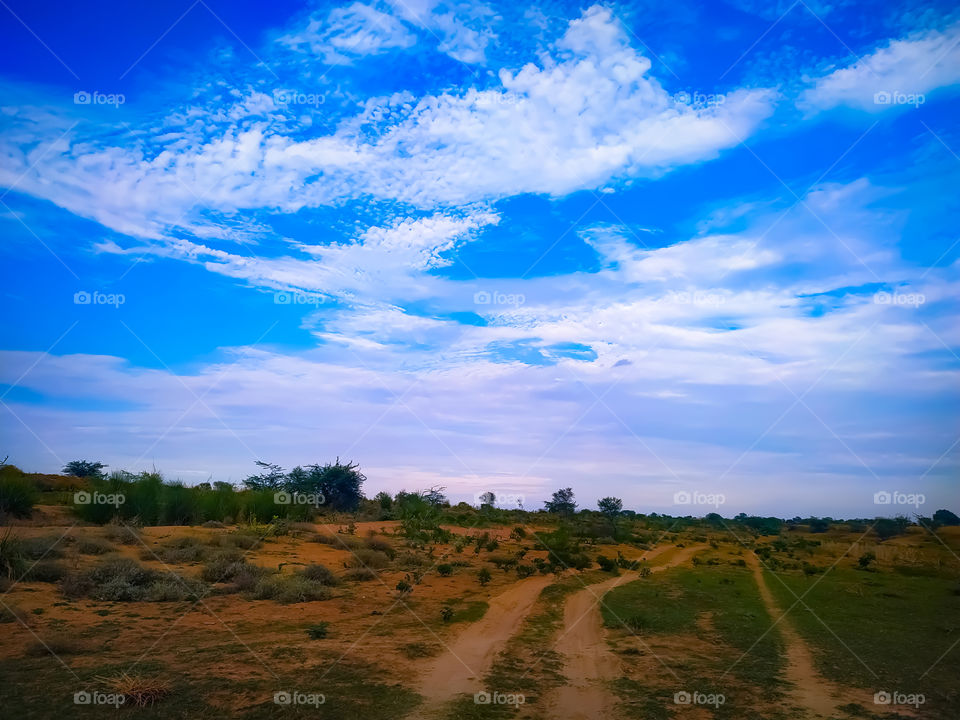 Beautiful landscape with area against the backdrop of blue sky, two paths for tractor and human passing