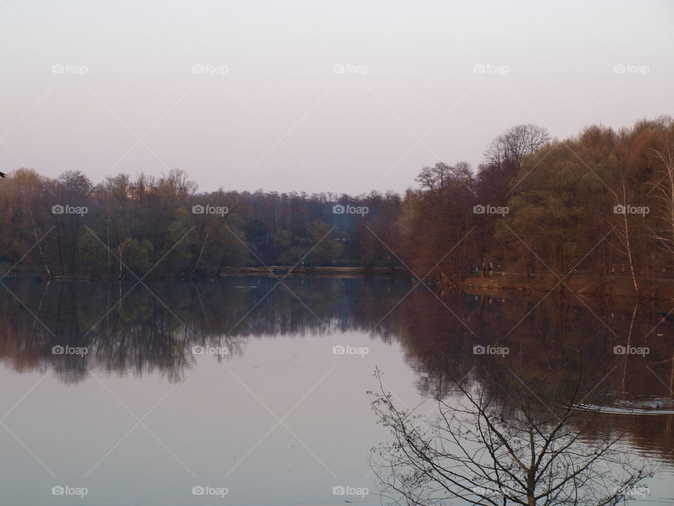 autumn lake and forest