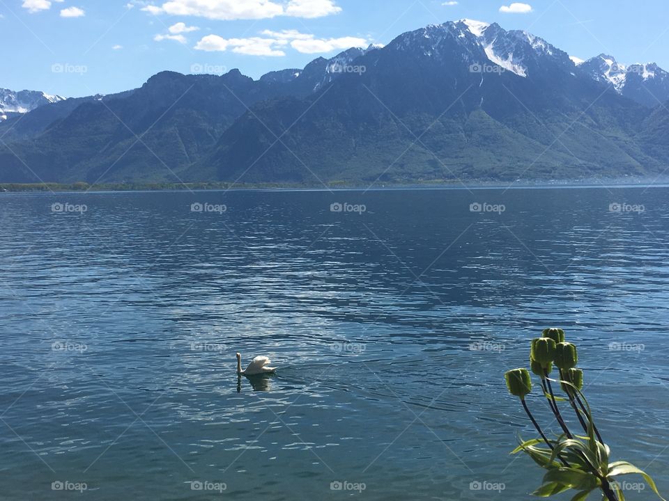 Lake and mountain 