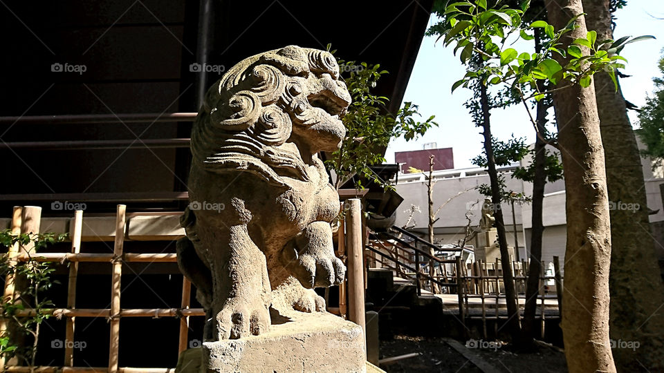 Hikawa shrine with lion status