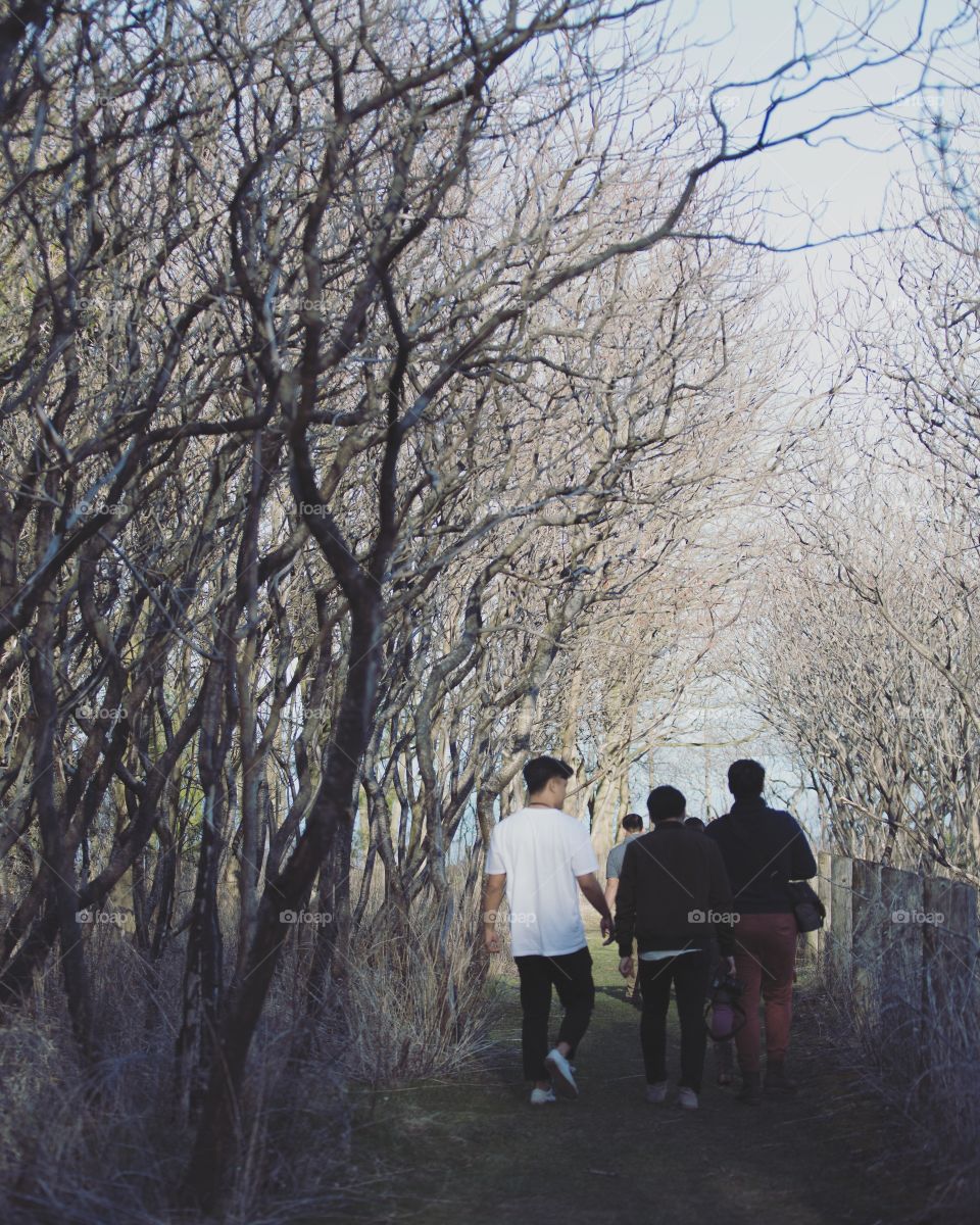 A group of friends walking forest hiking trails