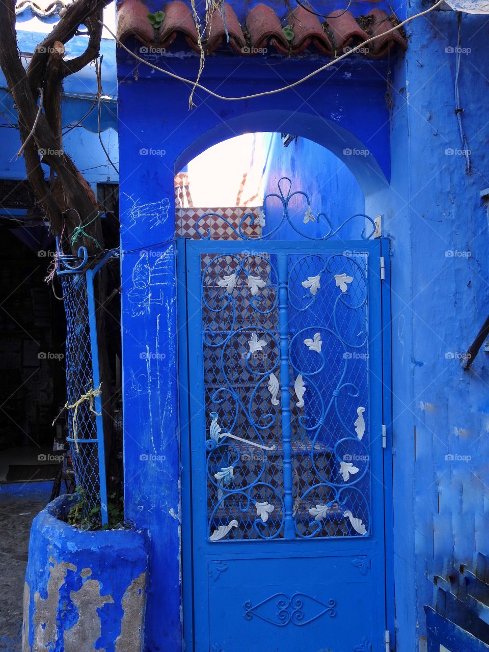 Blue Gate