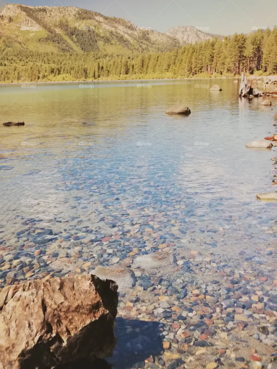 Nature