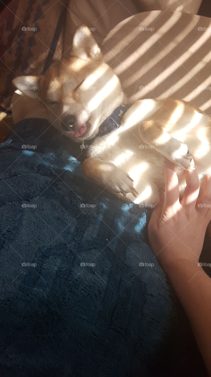 Luna trying to get the sun