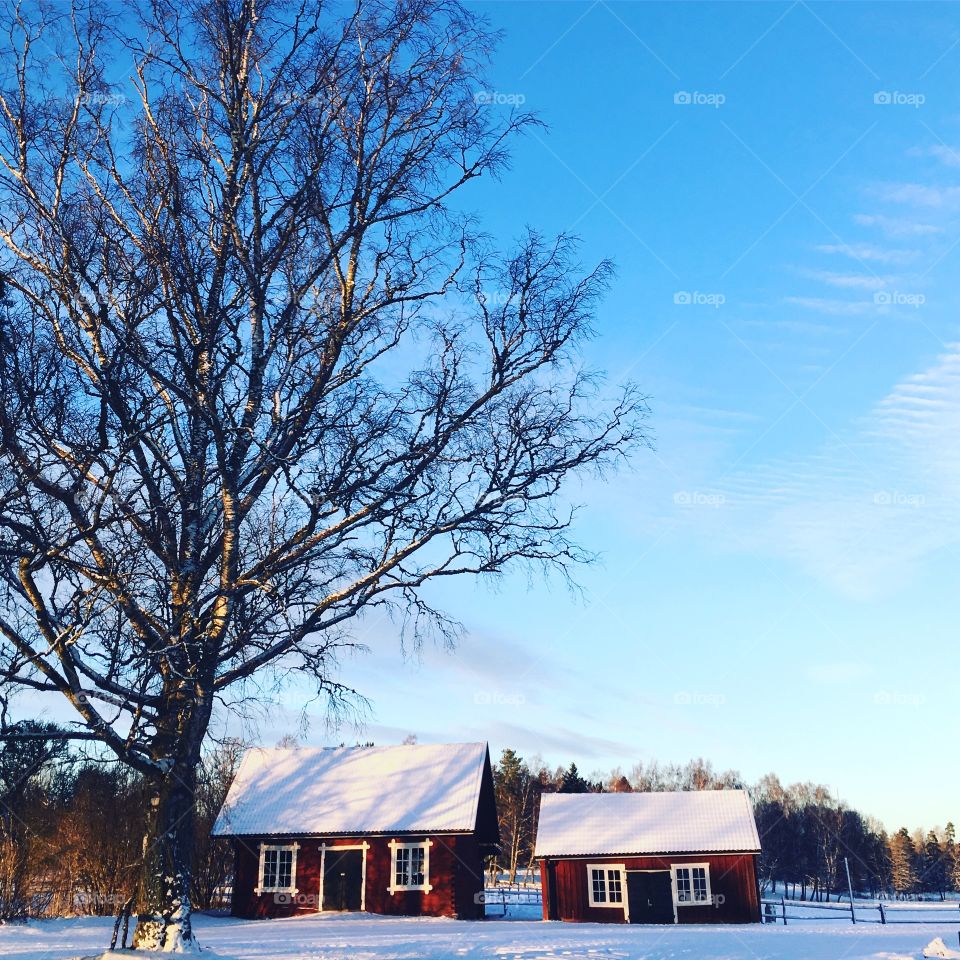 Two red huts in winter landscape 