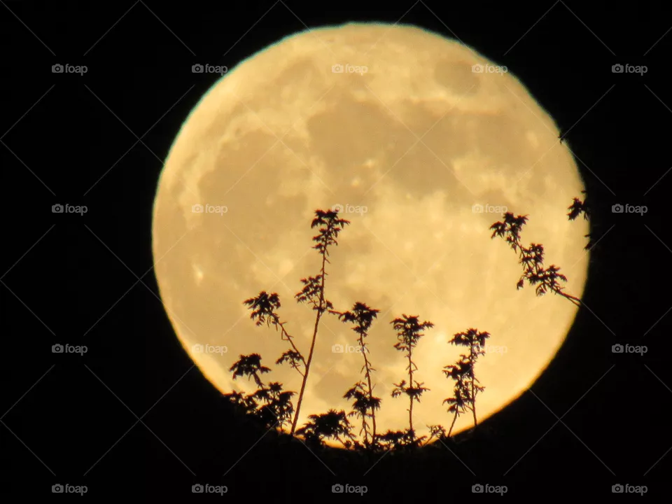 Full moon
