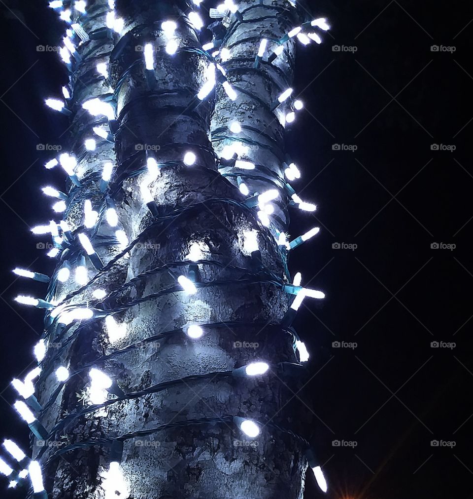 beautiful lights wrapped up the trunk of a tree and shining brightly in the night