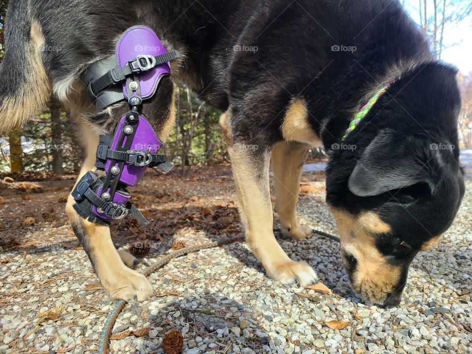 Rehab work in the spring sunshine