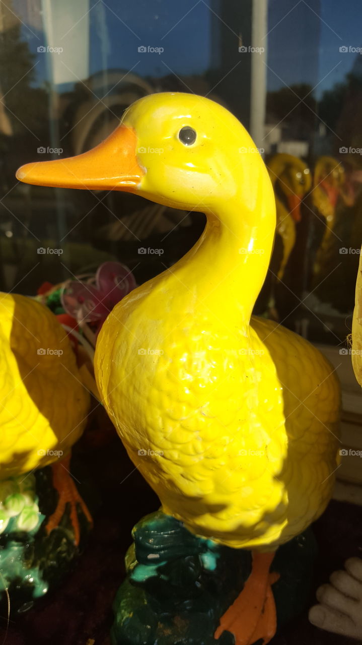 painted duck statue