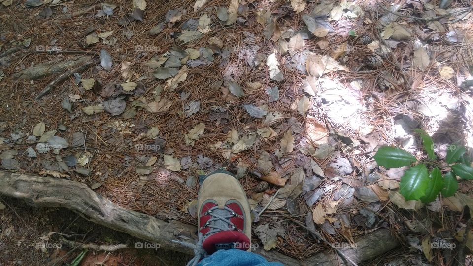 Hiking trails
