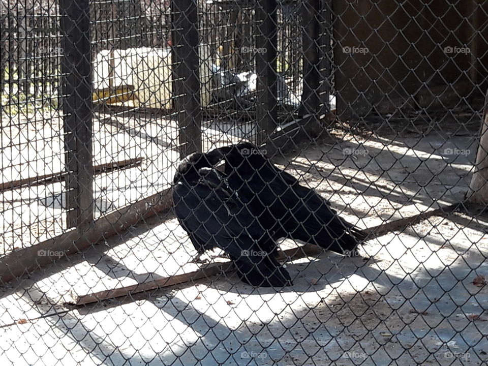 park spring time sun sunny colors colorful nature wild plants flowers amazing stunning cool nice weather hot lovely sky forest grass view splendid