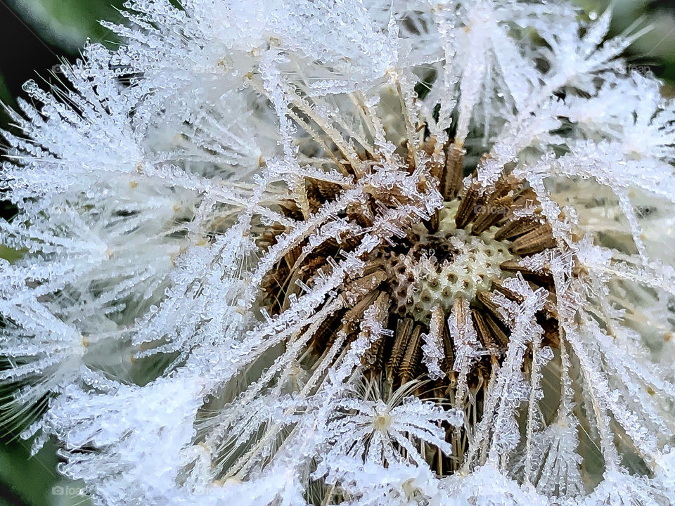 Crystals to the center 