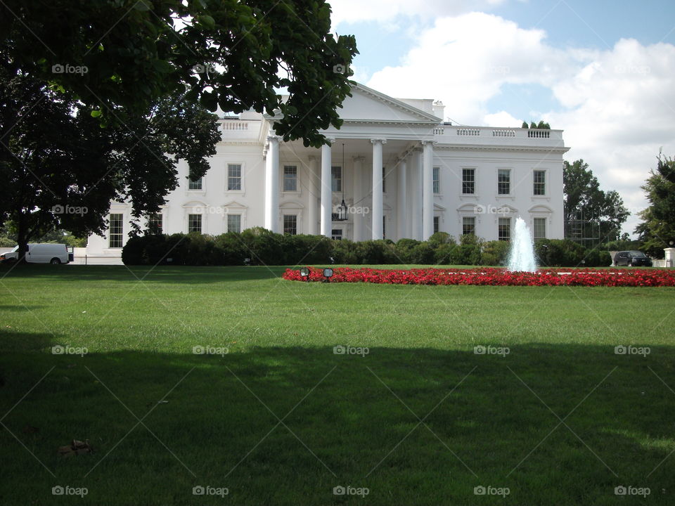 The White House