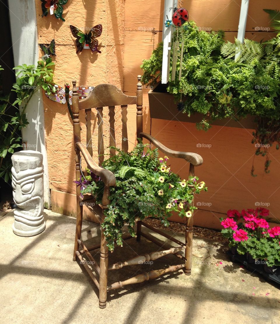 Chair and flowers 