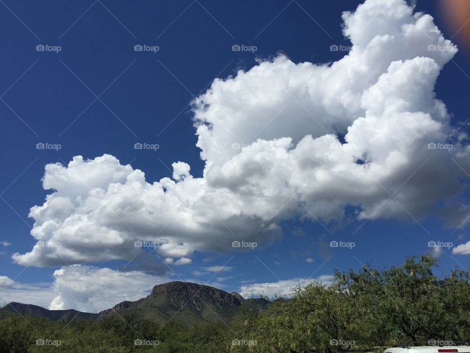 Desert clouds 