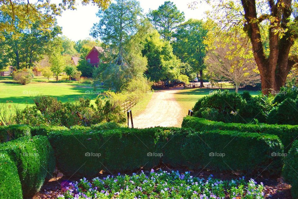 Path down a country village