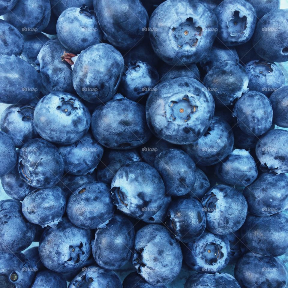 Close up of blue berries