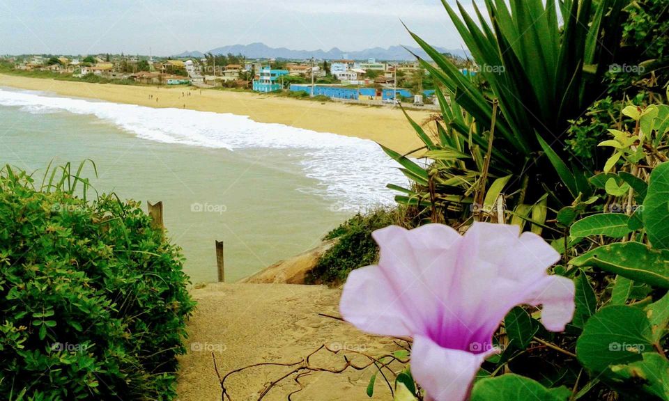barra do Jucu Vila velha ES