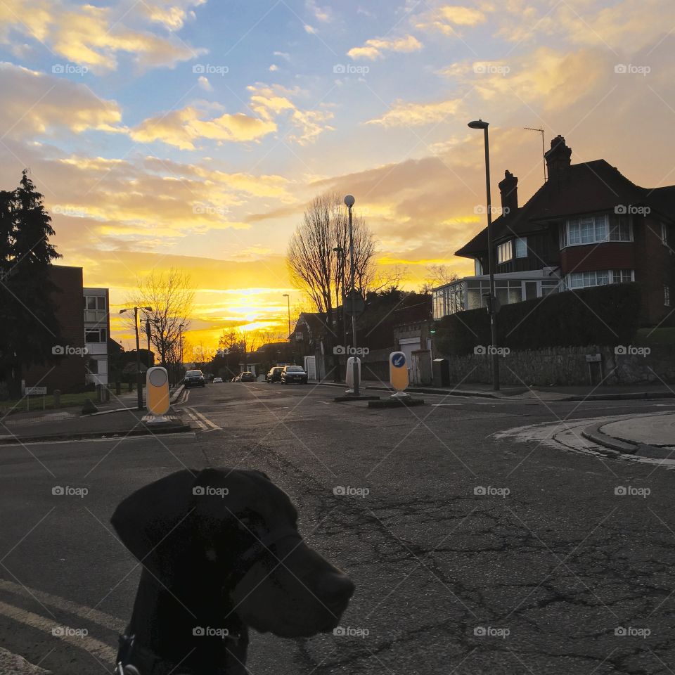 When nature smiles at you... ⛅️🐺 Just smile back 😃