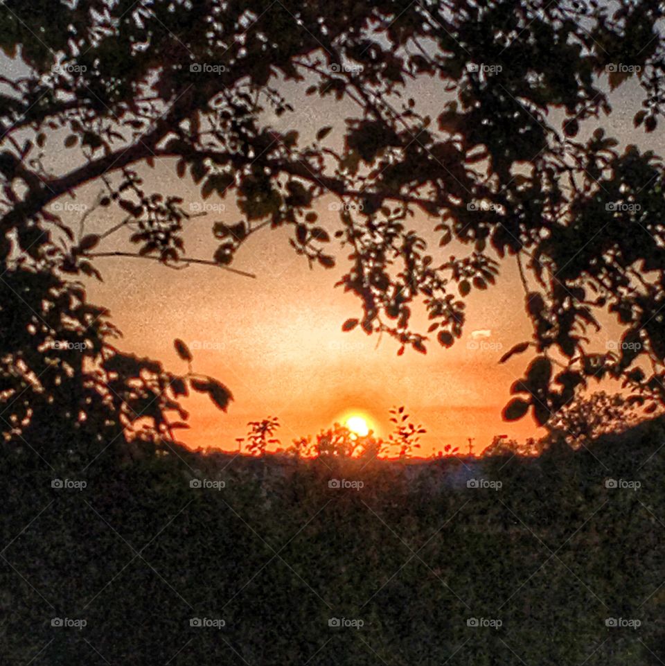 Sunset in the backyard