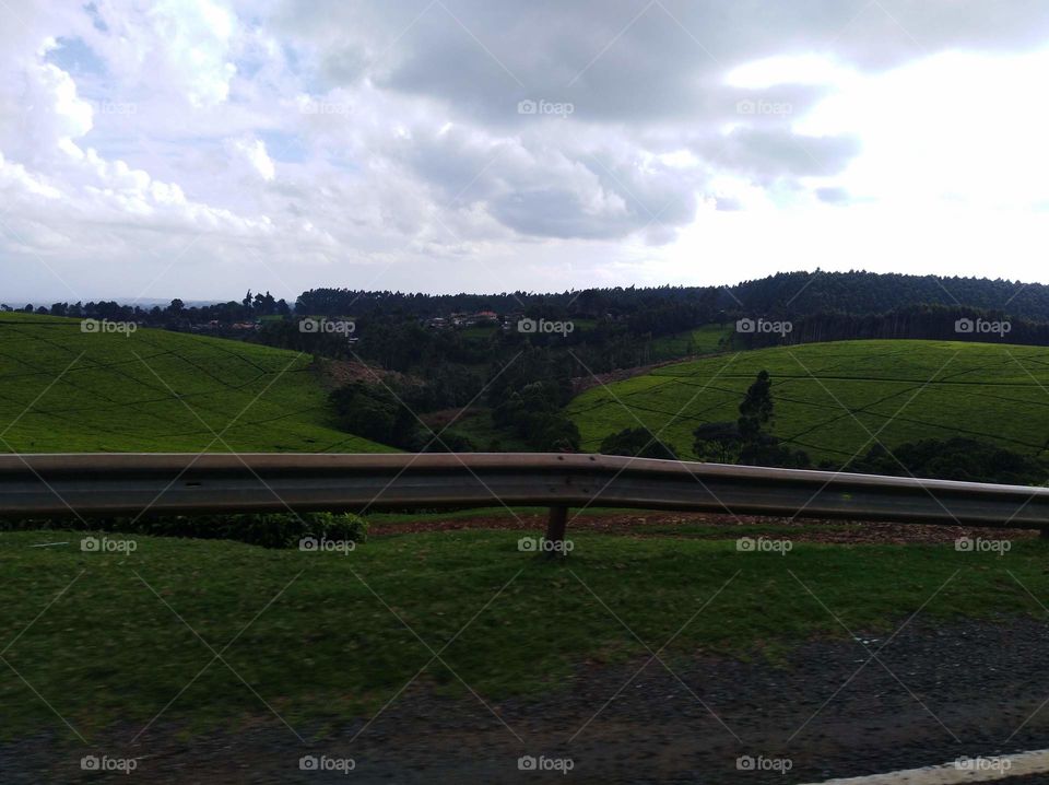 I enjoyed viewing Kiambu Tea Farm Valley in Limuru Kenya