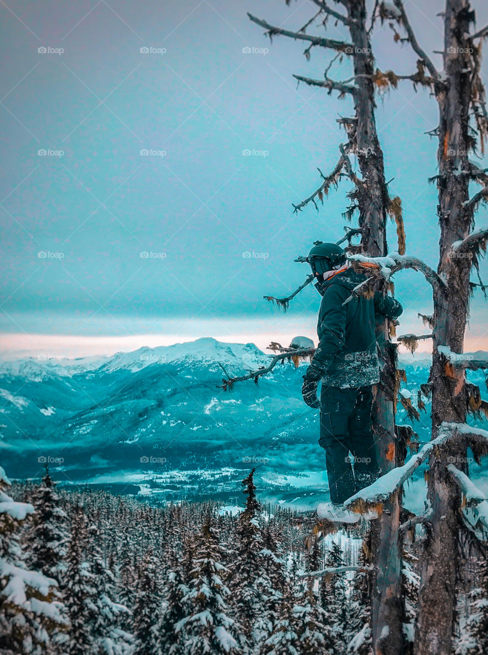 Winter Views - Whistler 