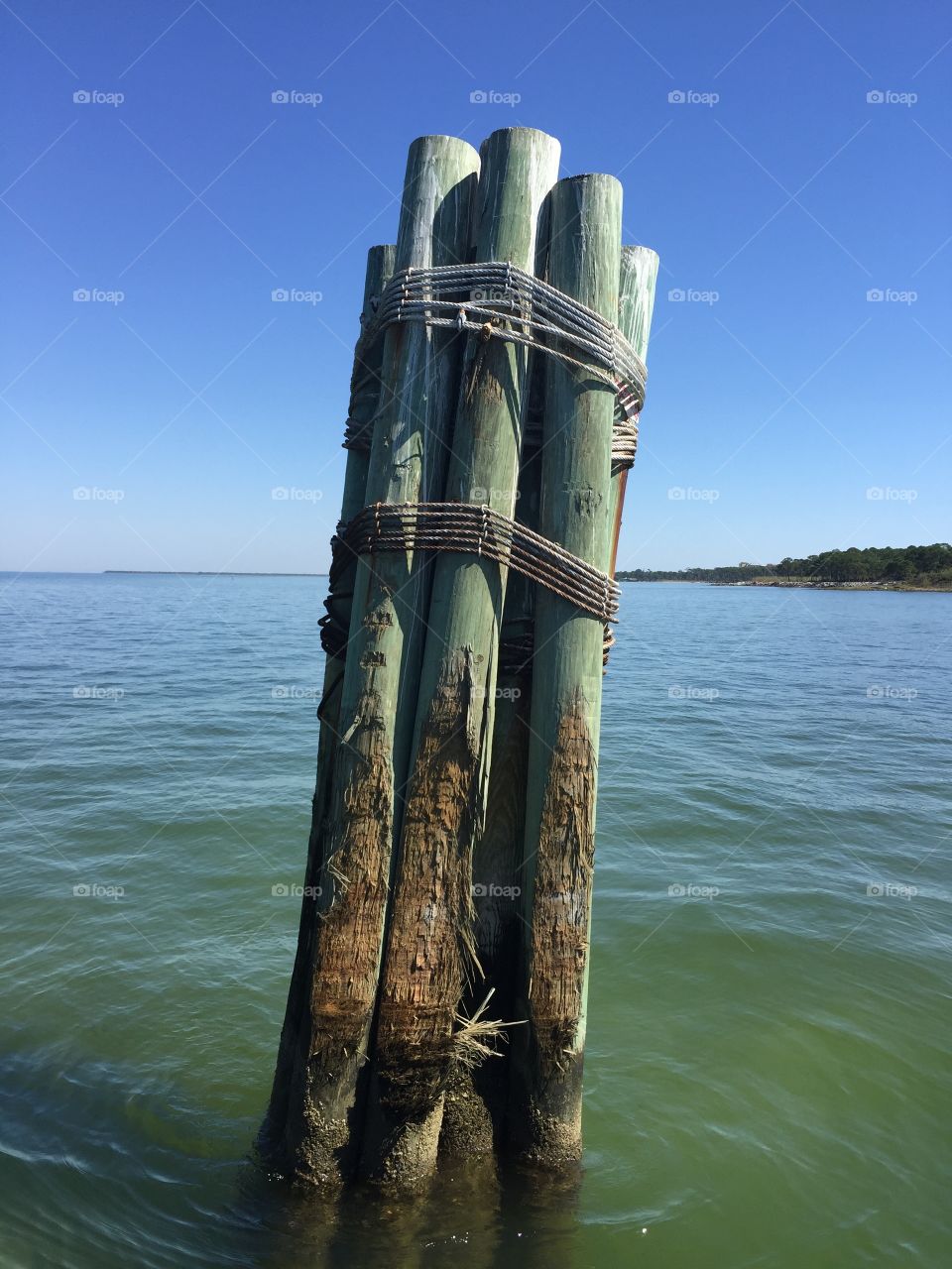 Close-up of wooden post