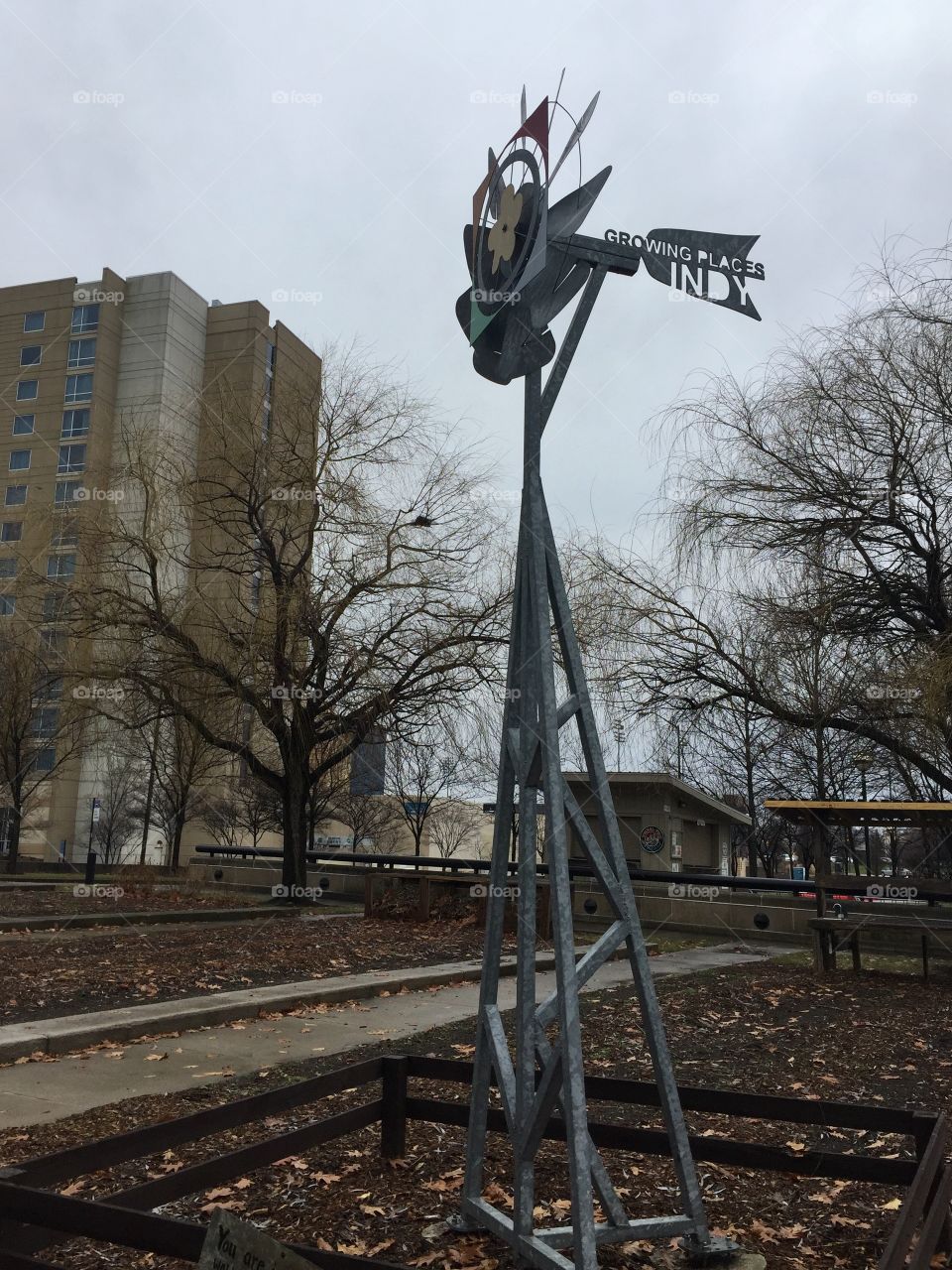 growing and going places 