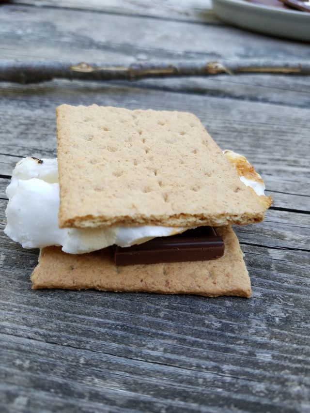 Close-up of a smore