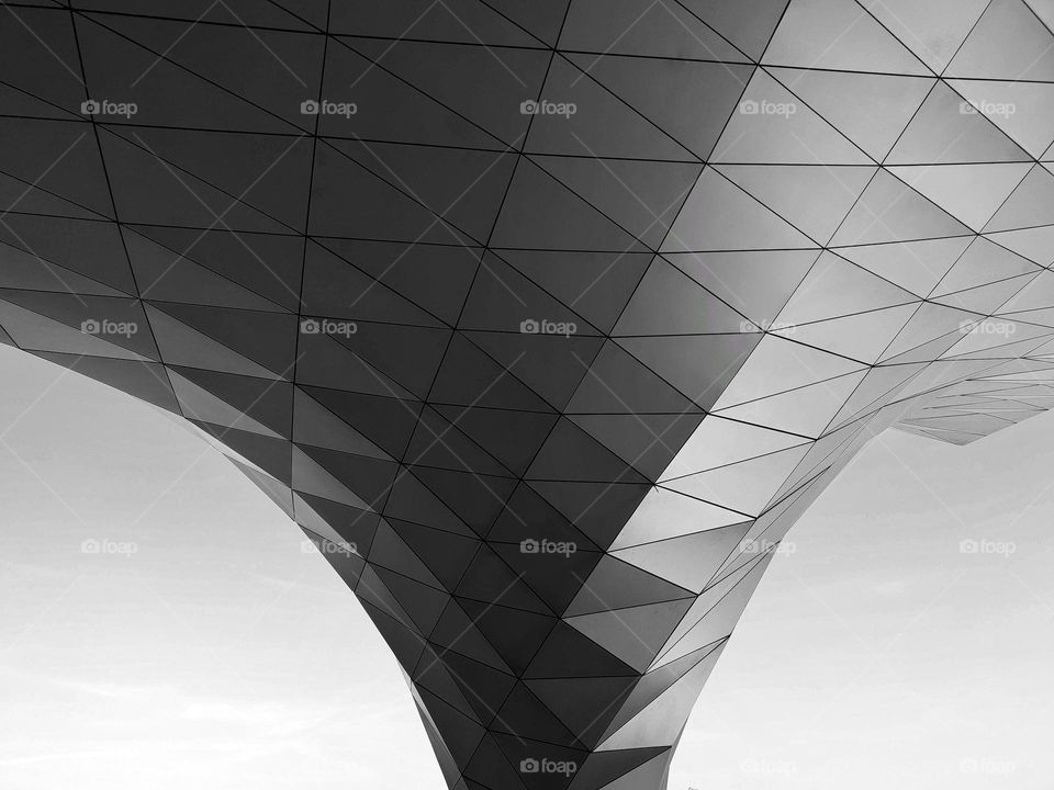 Lyon, black and white