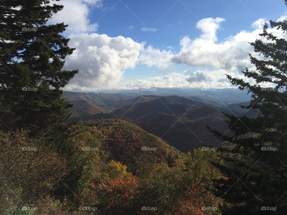 Landscape, Tree, Mountain, Fog, No Person