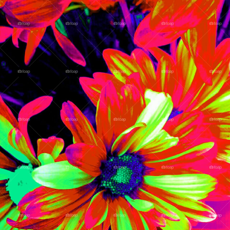 craisydaisy yellow creations