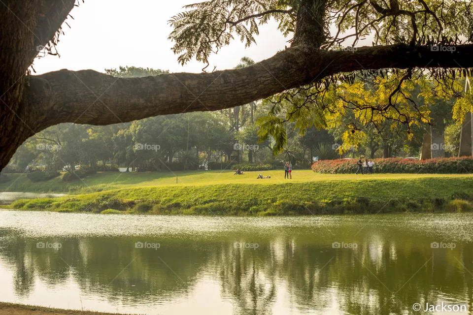 Lago