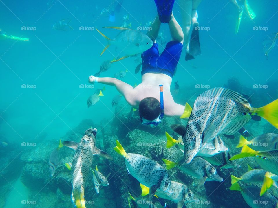 Snorkeling 