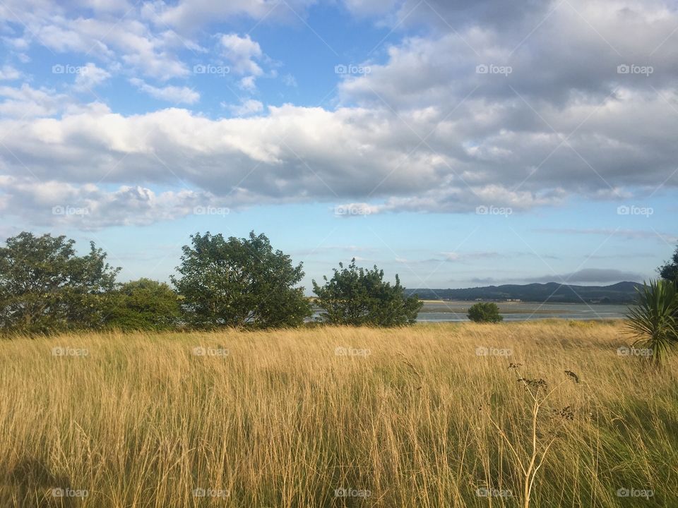 Landscape, No Person, Sky, Agriculture, Field