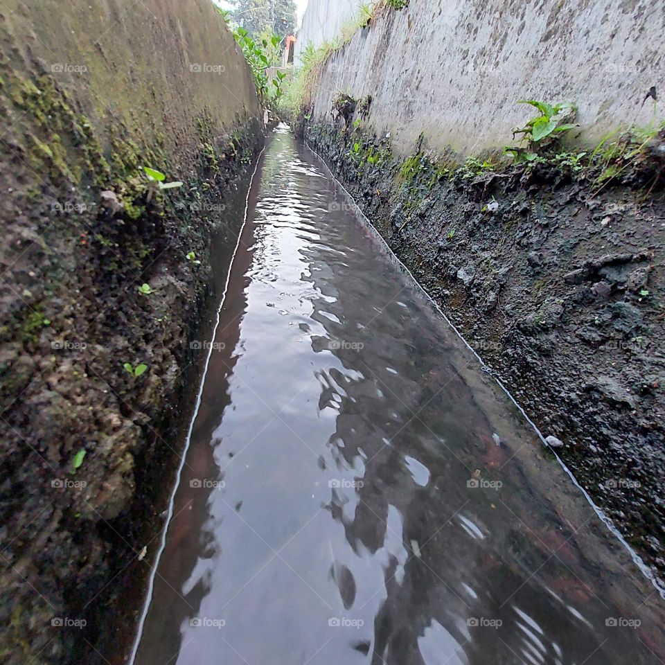 water flow for irrigation in rice fields
