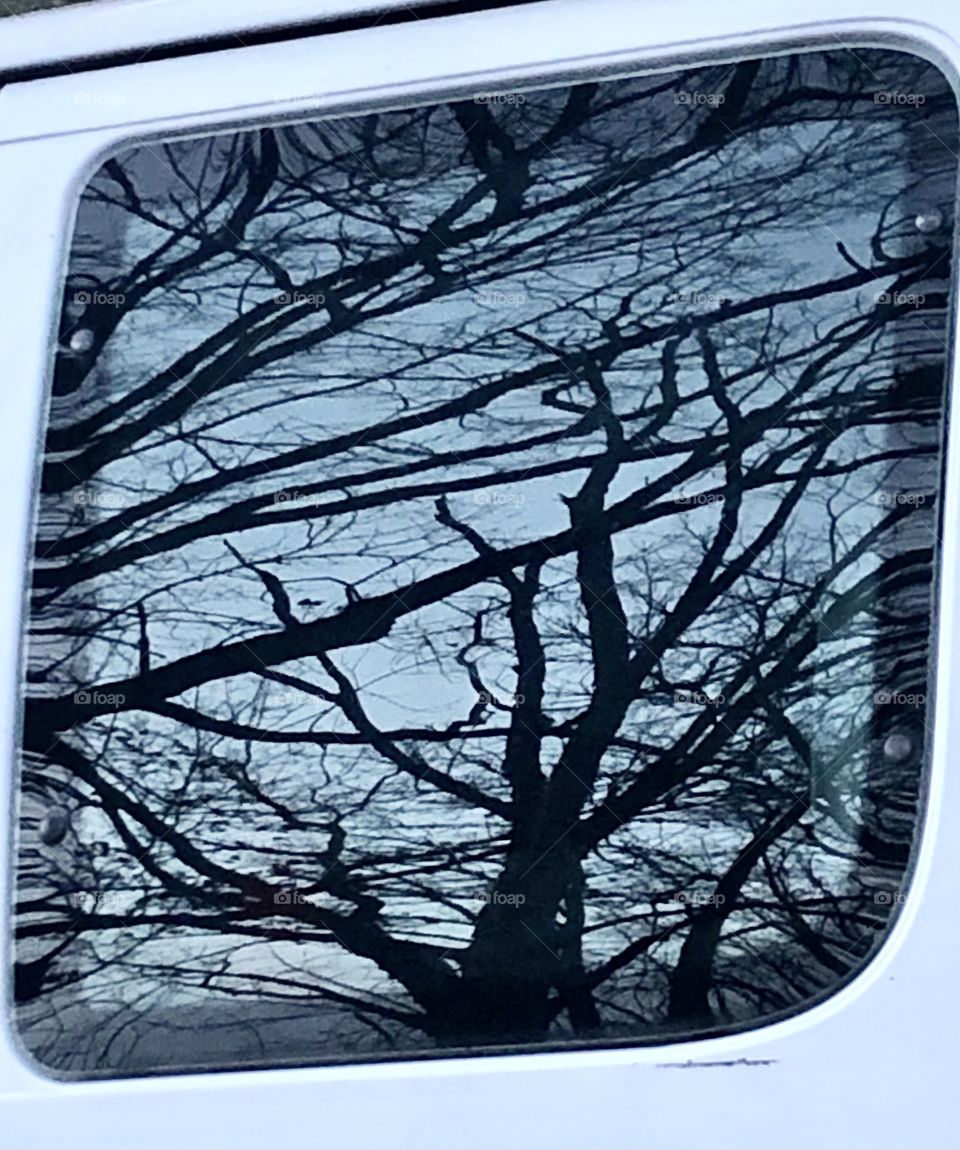 Reflection in Truck Window