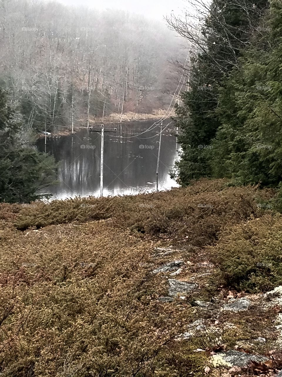 view from the ridge while hunting