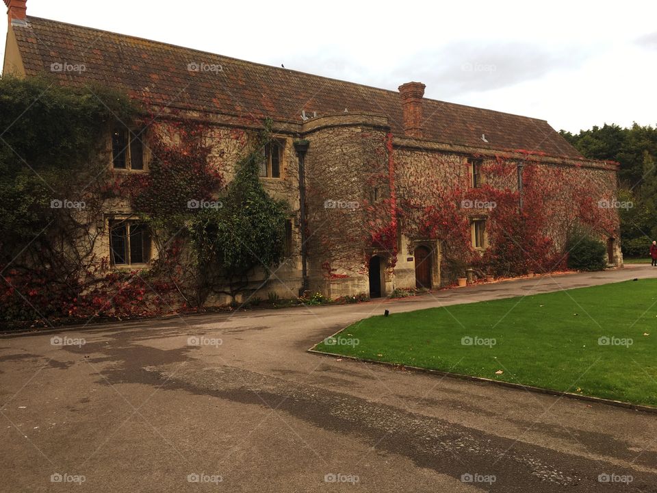 Thornbury Castle  courtyard 