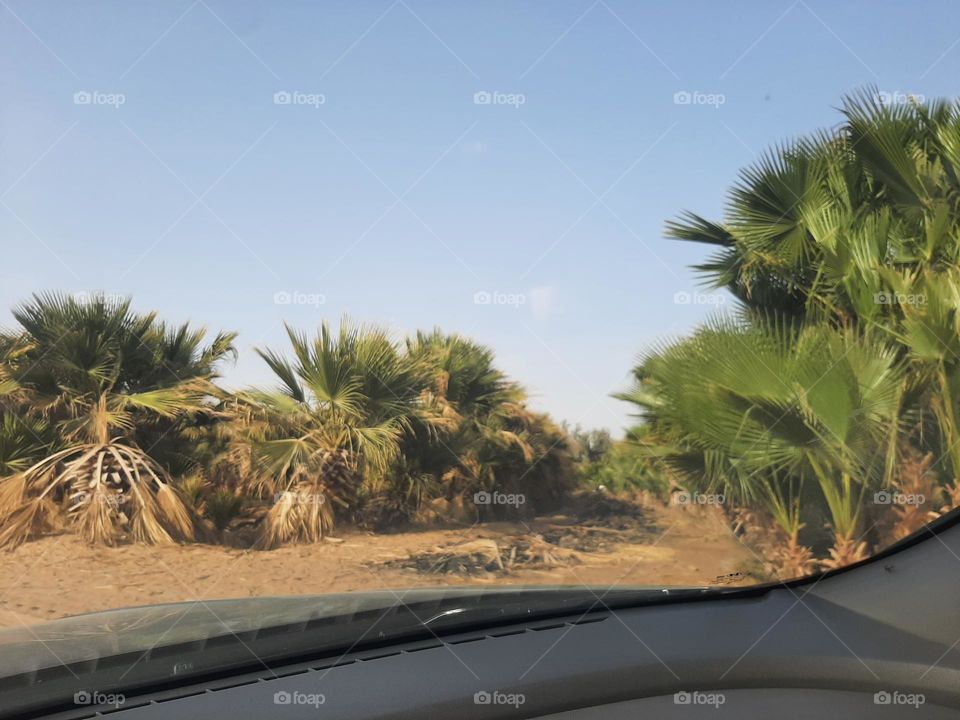 Please make me happy, I am poor, I need your help with support